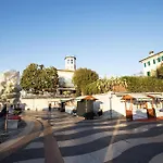 Salix *