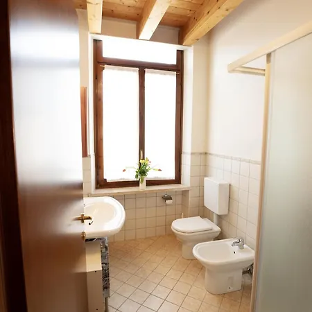 Salix Λατζίζε