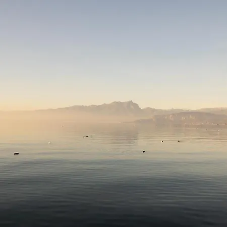 Salix Διαμέρισμα