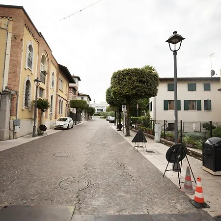 Salix Λατζίζε