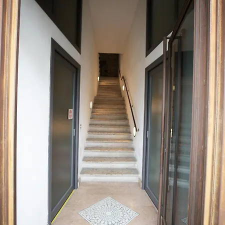 Salix Λατζίζε